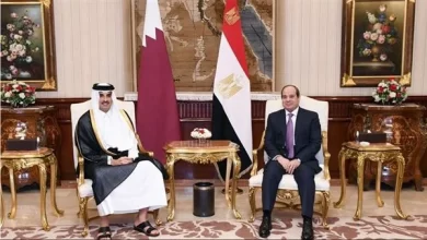 الرئيس السيسي وأمير قطر