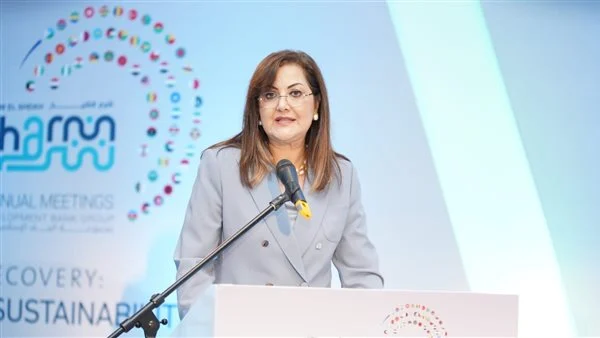 هالة السعيد- وزيرة التخطيط
