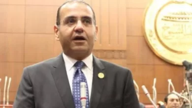 محمد المنزلاوي- عضو مجلس الشيوخ