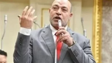 حسن المير- عضو مجلس النواب