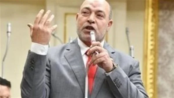 حسن المير- عضو مجلس النواب