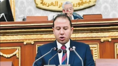 حسن عمار- عضو مجلس النواب
