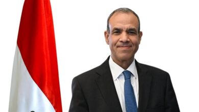بدر عبدالعاطي- وزير الخارجية