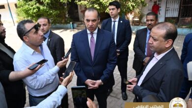 المستشار محمود فوزي
