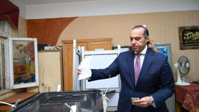 المستشار محمود فوزي