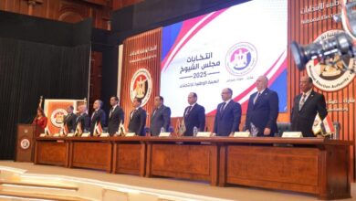 الهيئة الوطنية للانتخابات