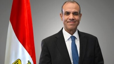 وزير الخارجية- بدر عبدالعاطي