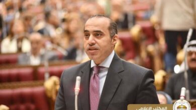 الوزير محمود فوزي