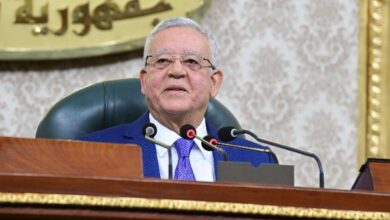 حنفي جبالي - رئيس مجلس النواب